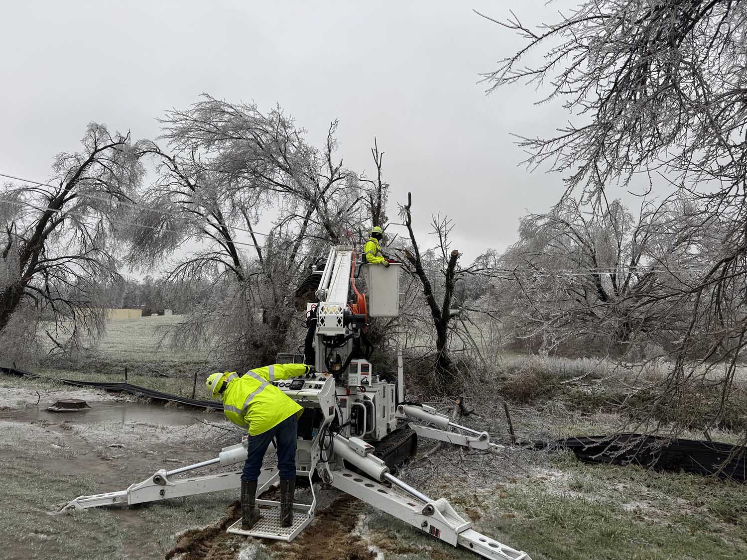 Coops Work to Restore Outages From Winter Storm Blair America's